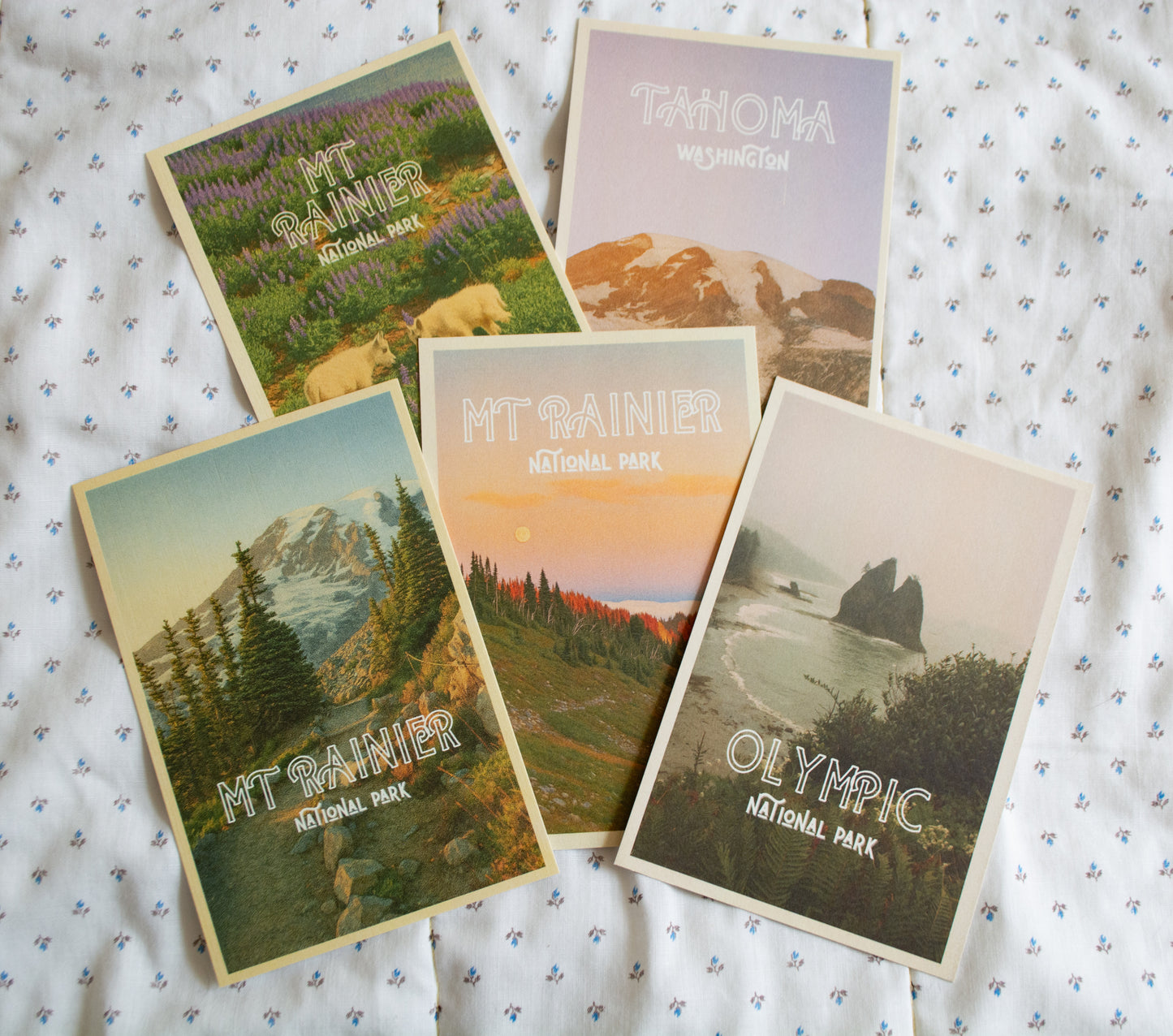 Vintage Inspired Film 4x6 Postcards