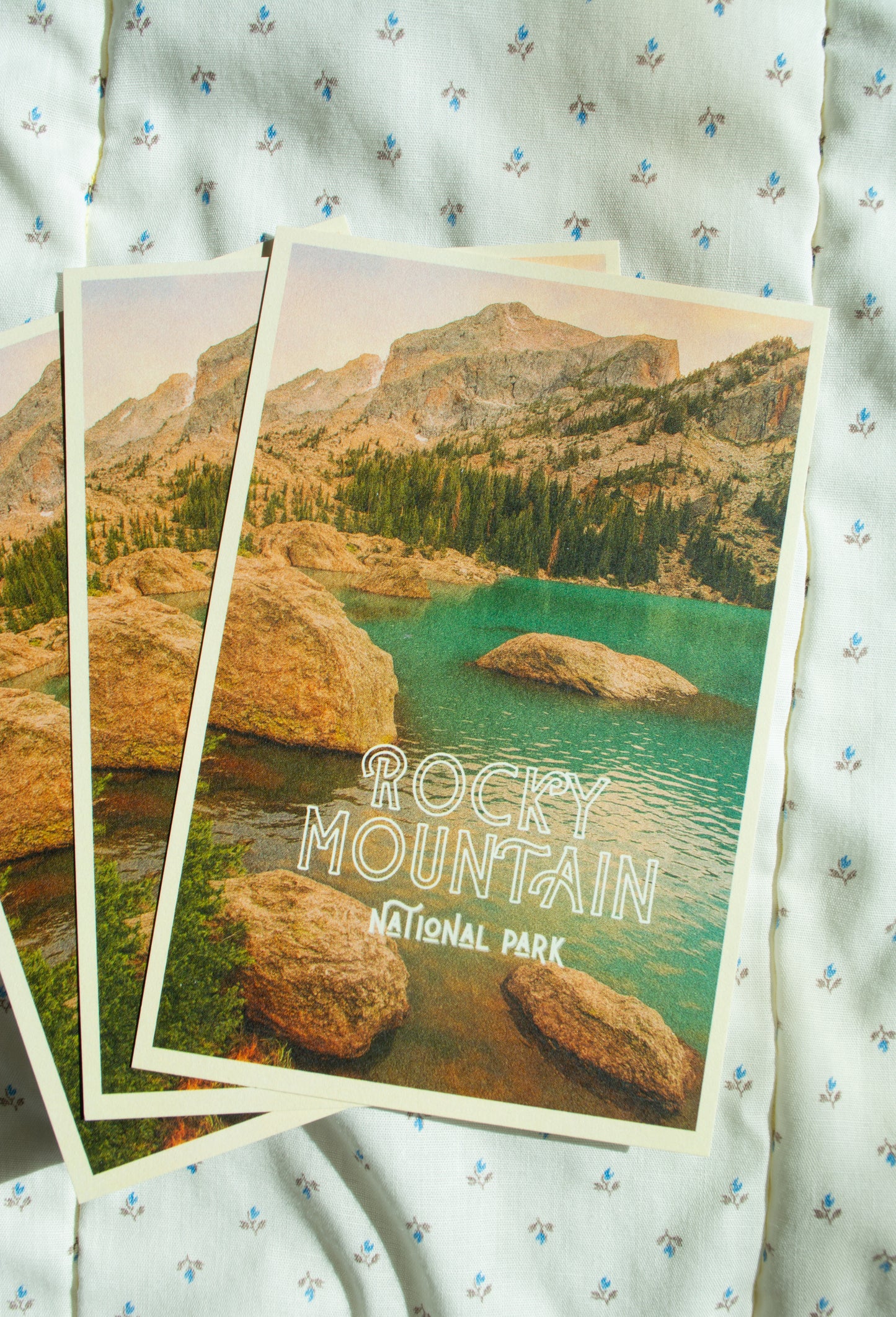 Vintage Inspired Film 4x6 Postcards