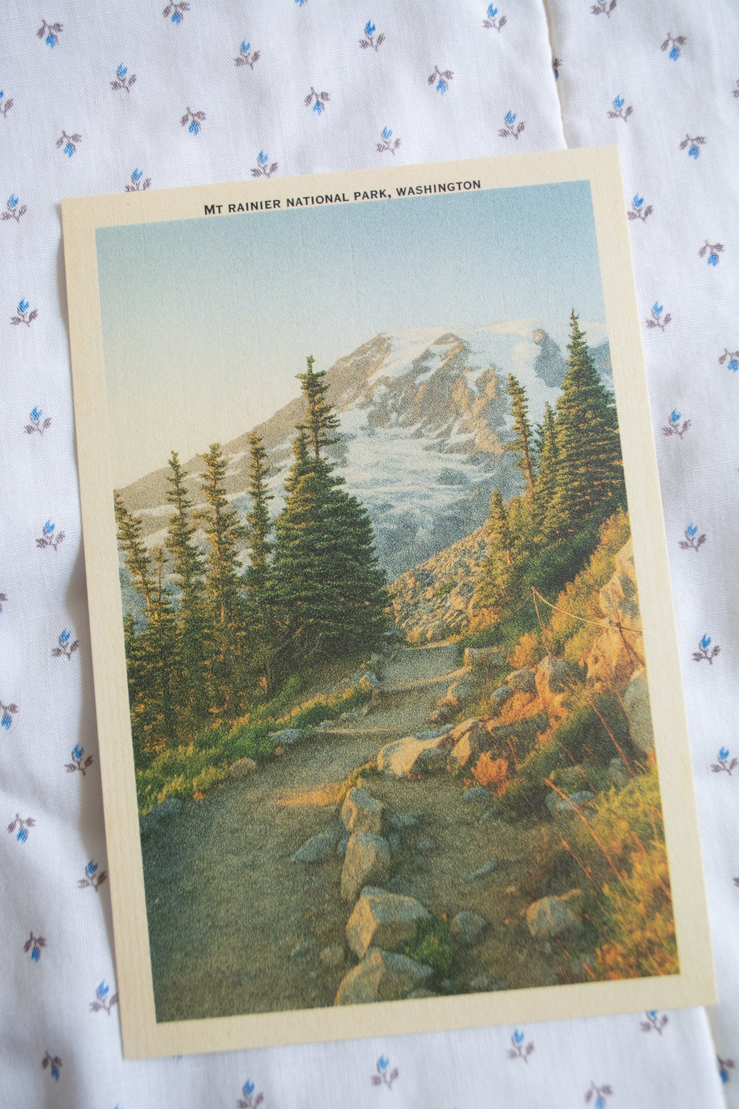 Vintage Inspired Film 4x6 Postcards