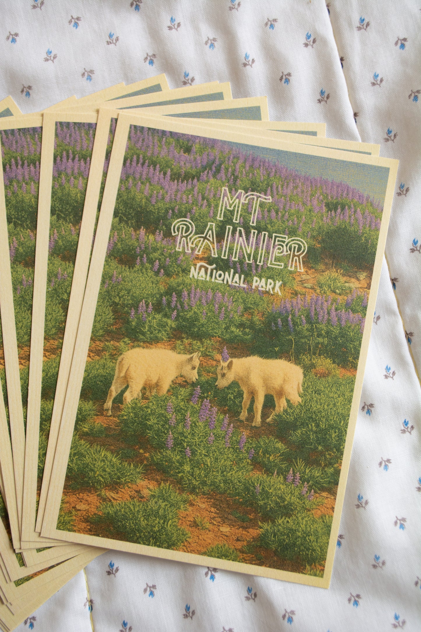 Vintage Inspired Film 4x6 Postcards