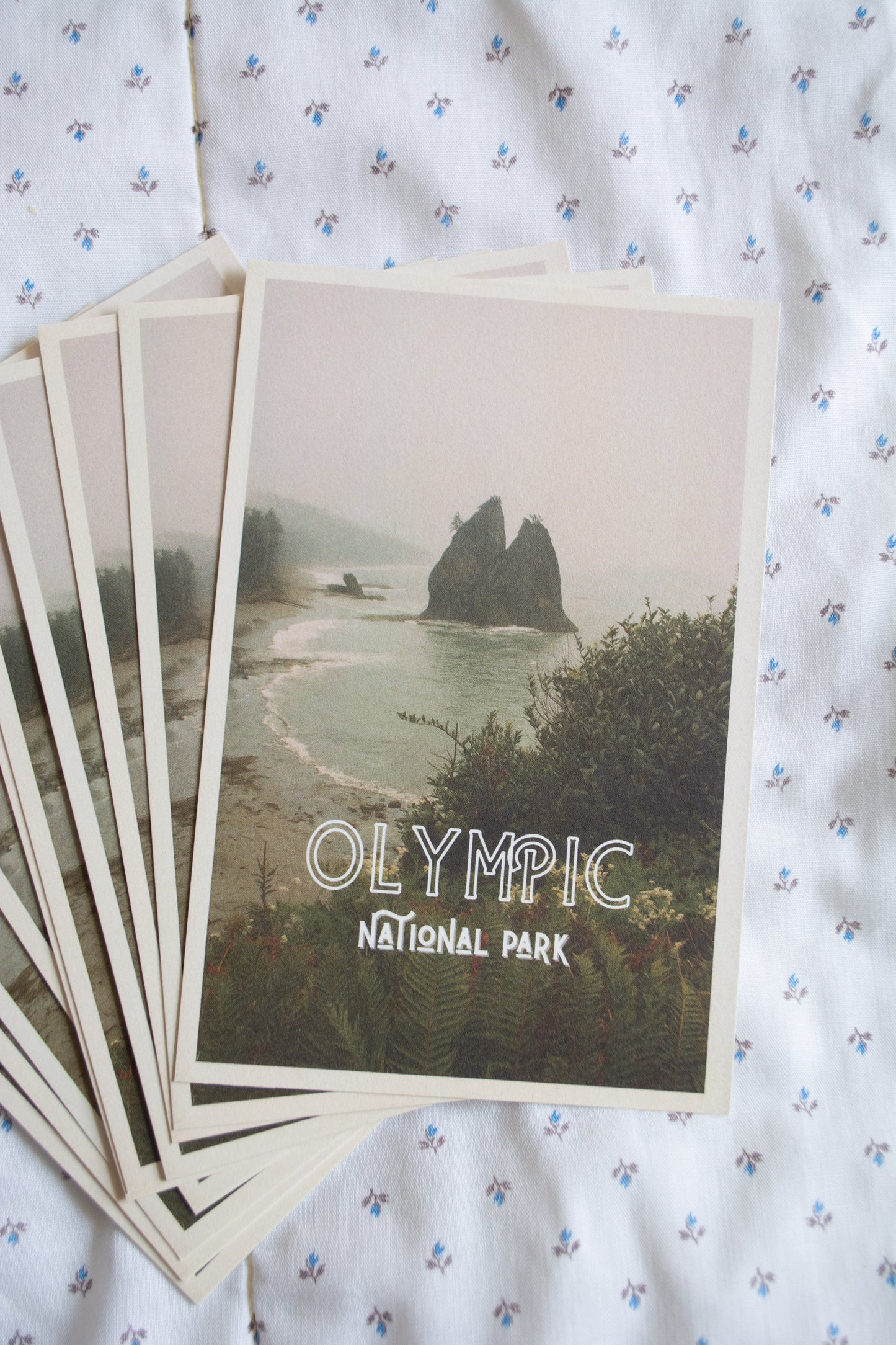 Vintage Inspired Film 4x6 Postcards