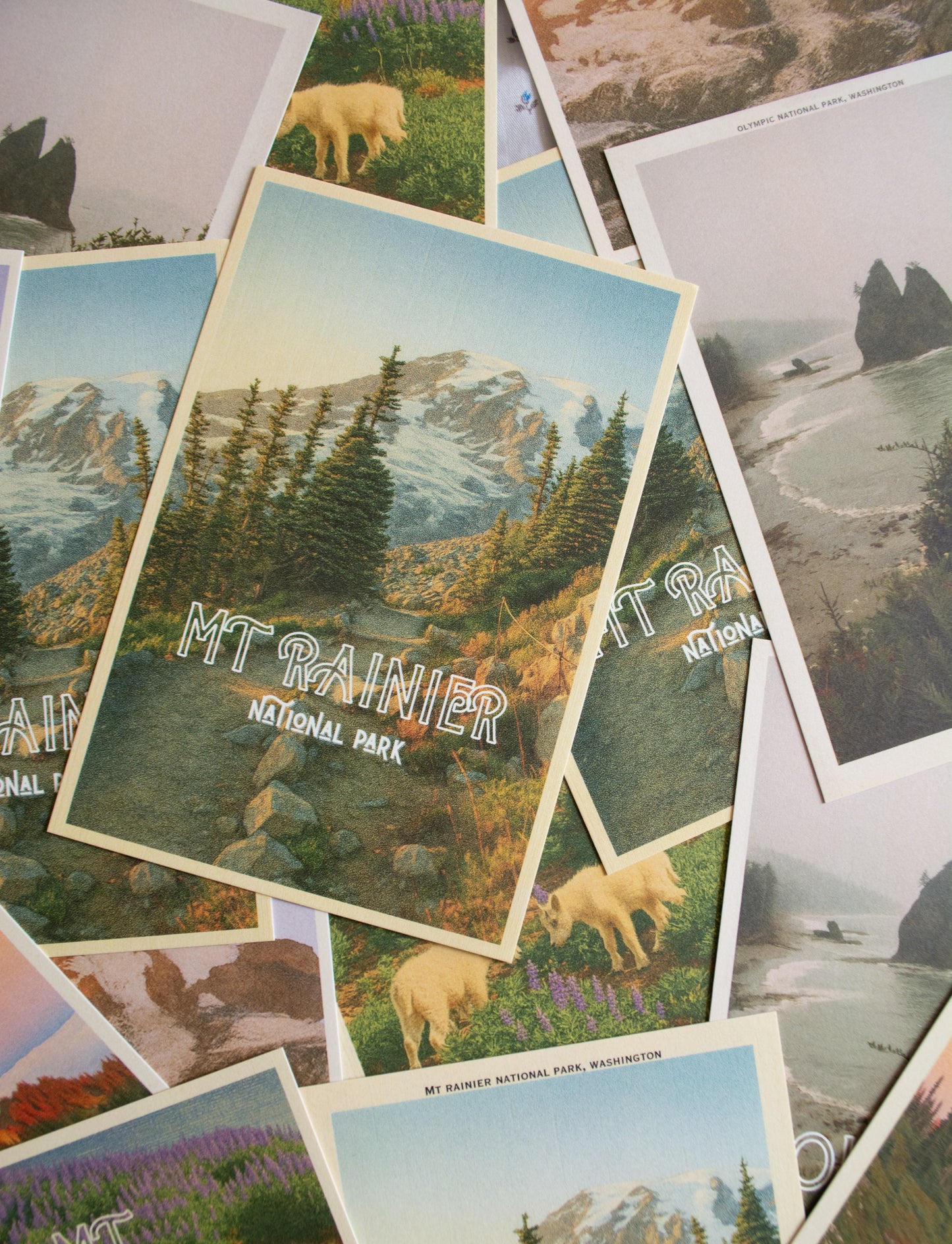 Vintage Inspired Film 4x6 Postcards