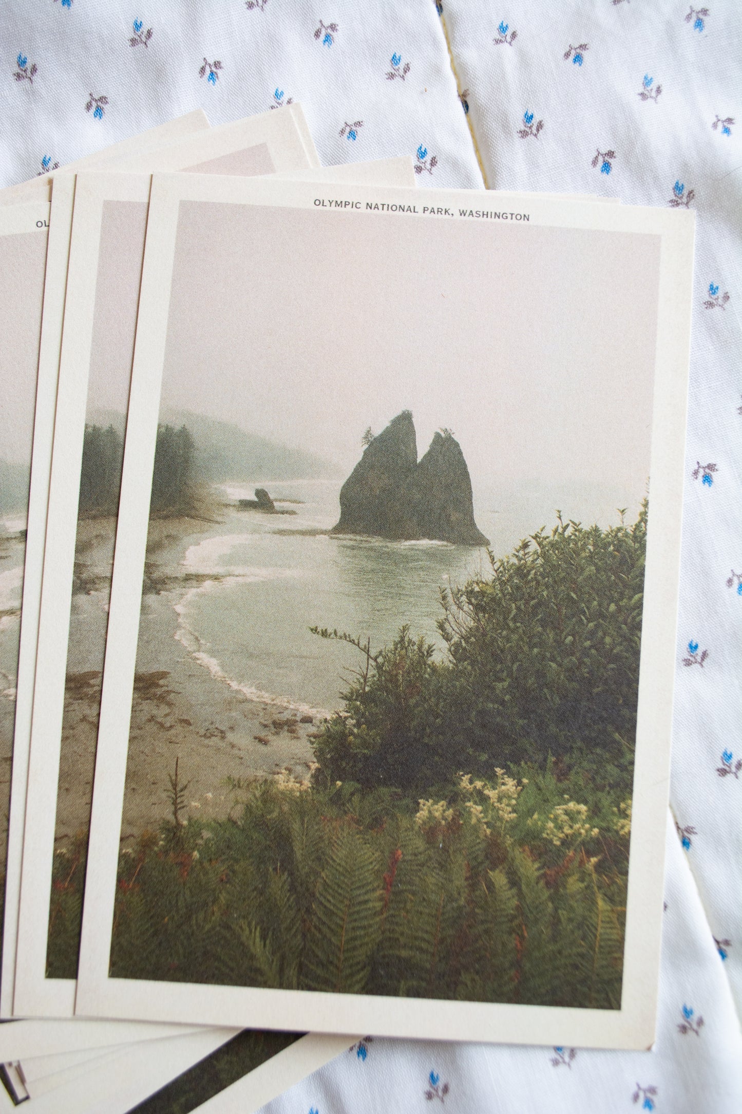 Vintage Inspired Film 4x6 Postcards