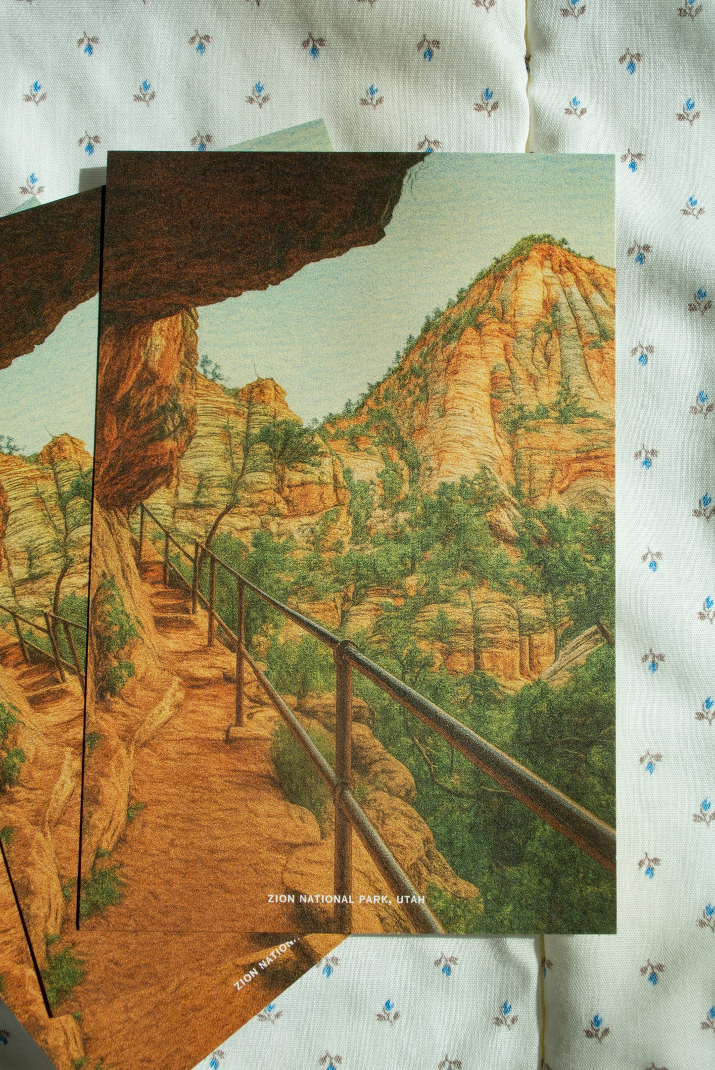 Vintage Inspired Film 4x6 Postcards