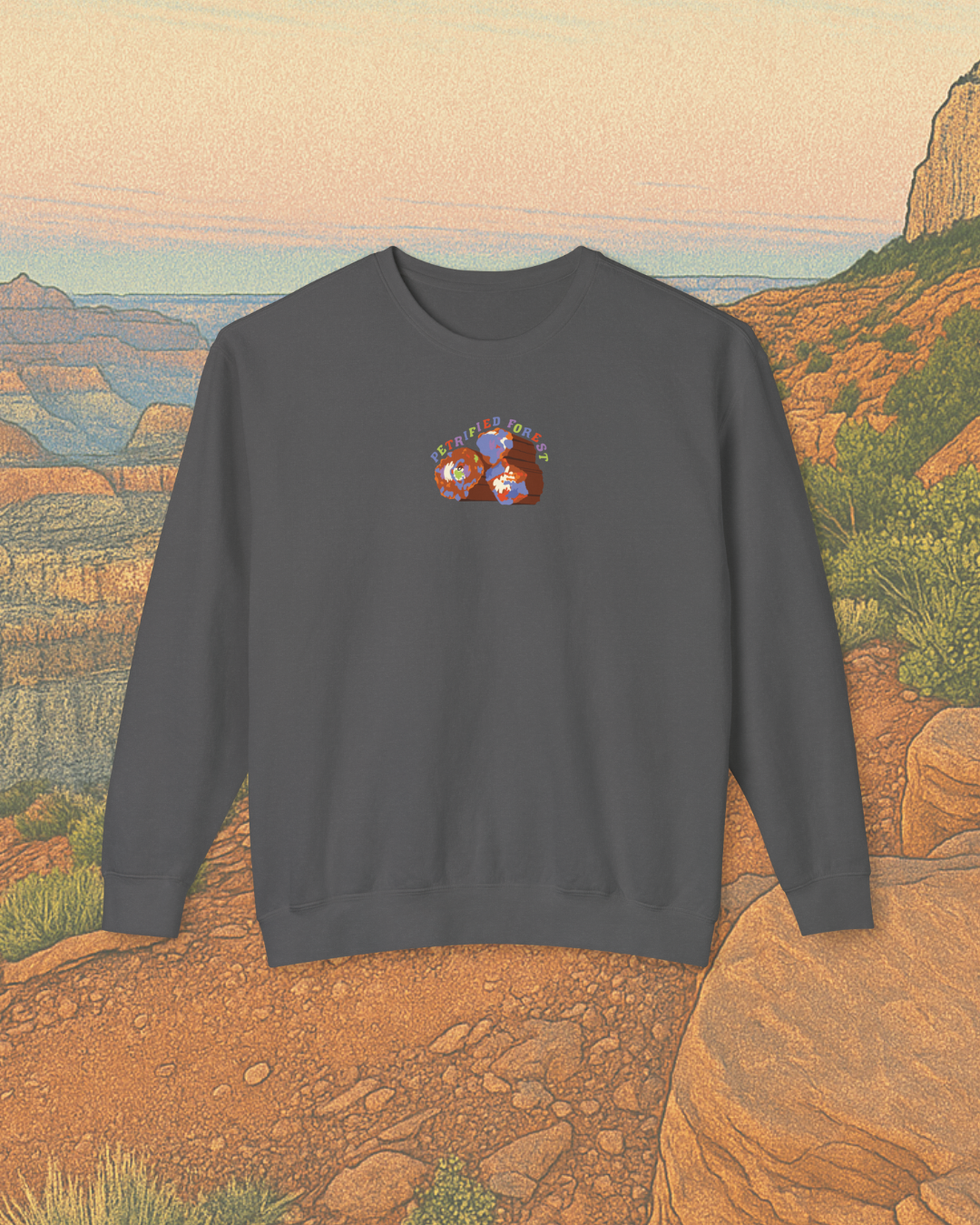 Petrified Forest National Park Printed Sweatshirt