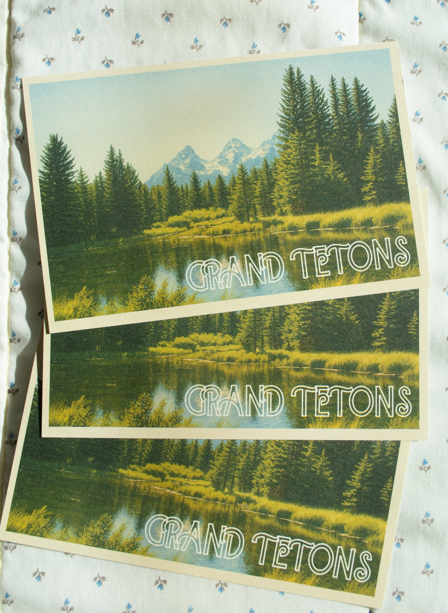 Vintage Inspired Film 4x6 Postcards