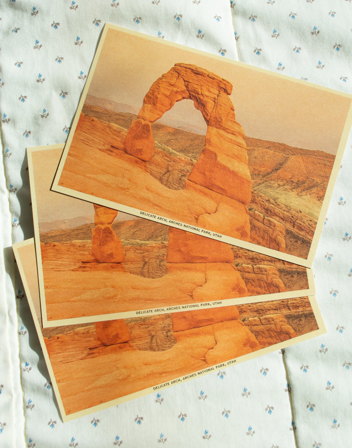 Vintage Inspired Film 4x6 Postcards
