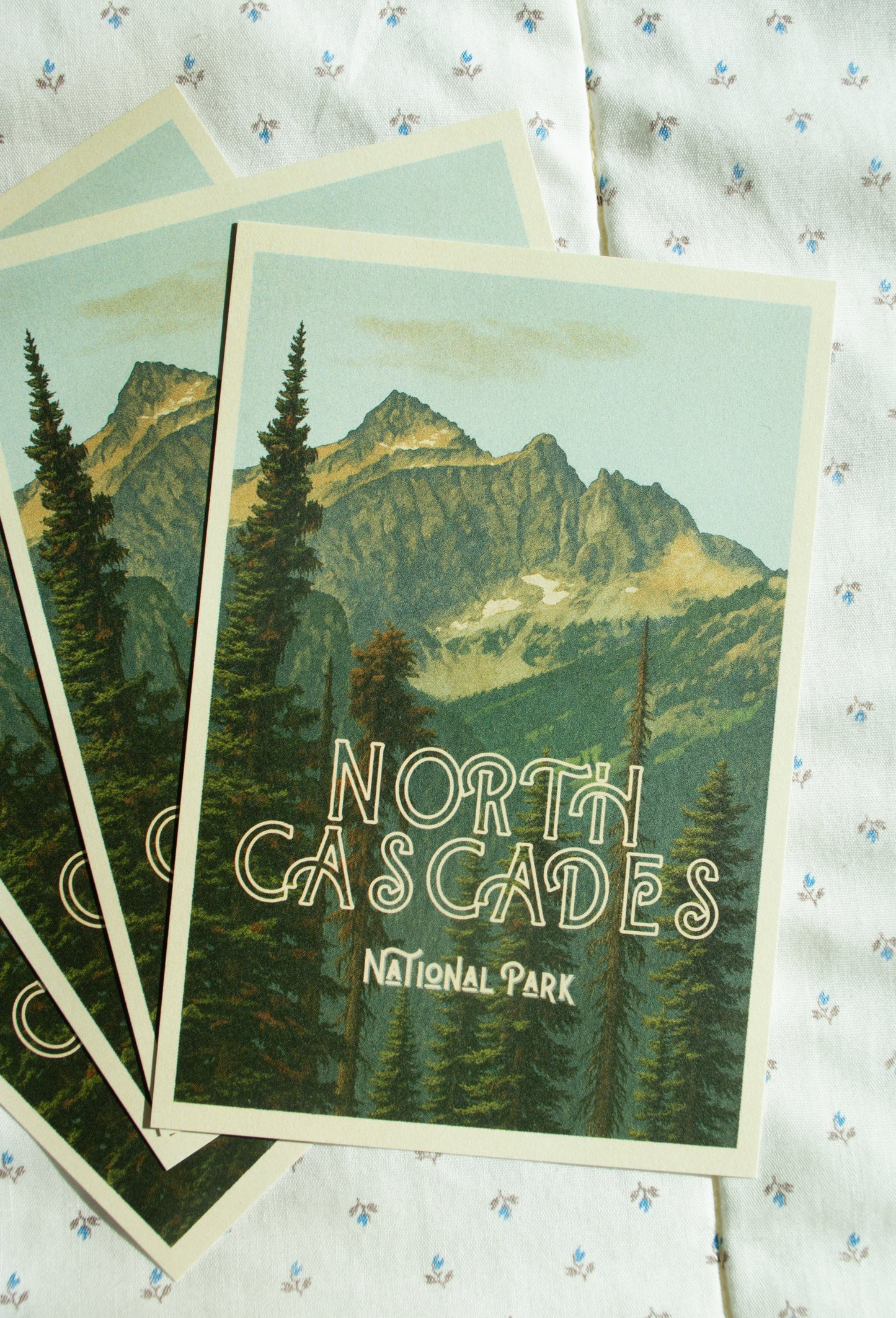 Vintage Inspired Film 4x6 Postcards