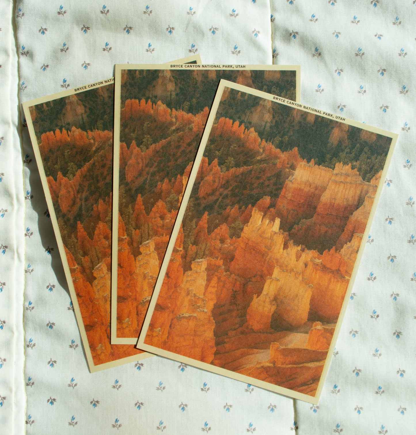 Vintage Inspired Film 4x6 Postcards