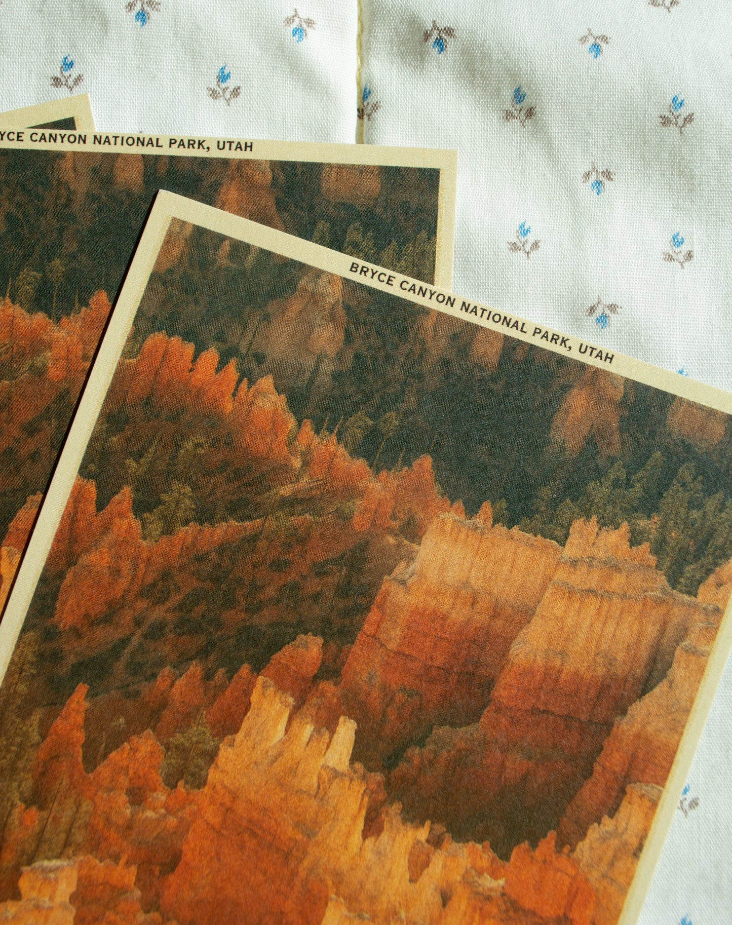 Vintage Inspired Film 4x6 Postcards