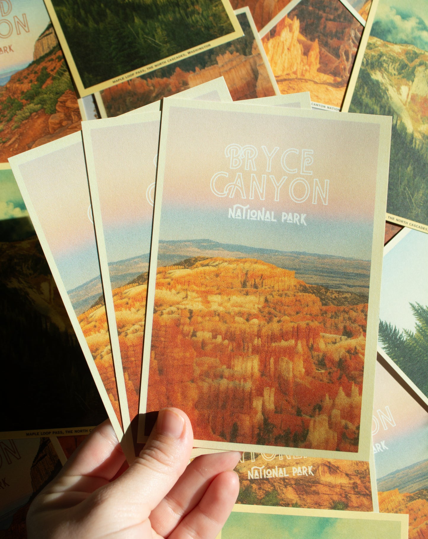 Vintage Inspired Film 4x6 Postcards