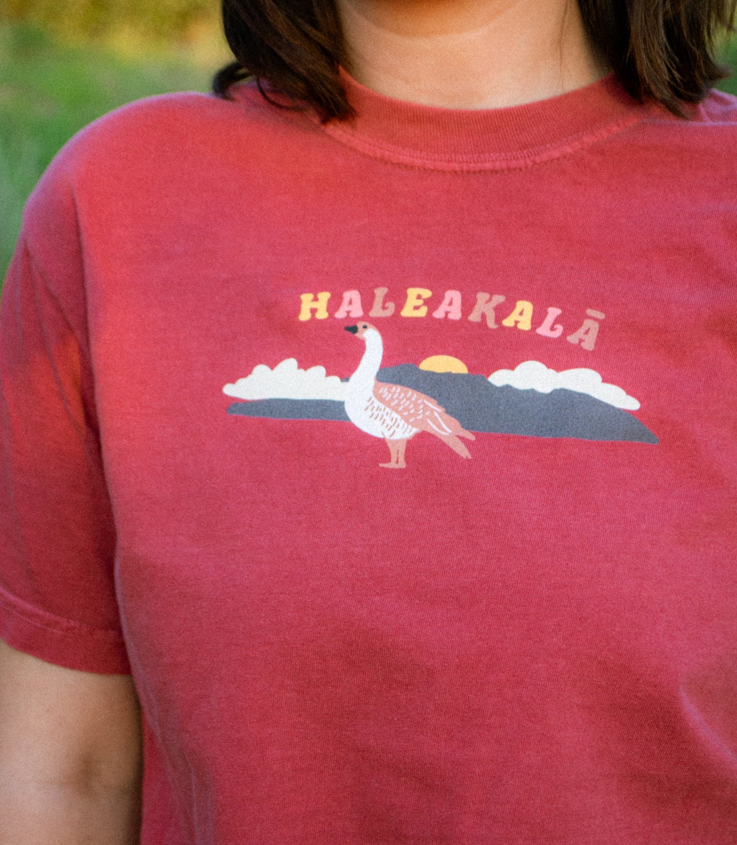 Haleakalā National Park T-Shirt