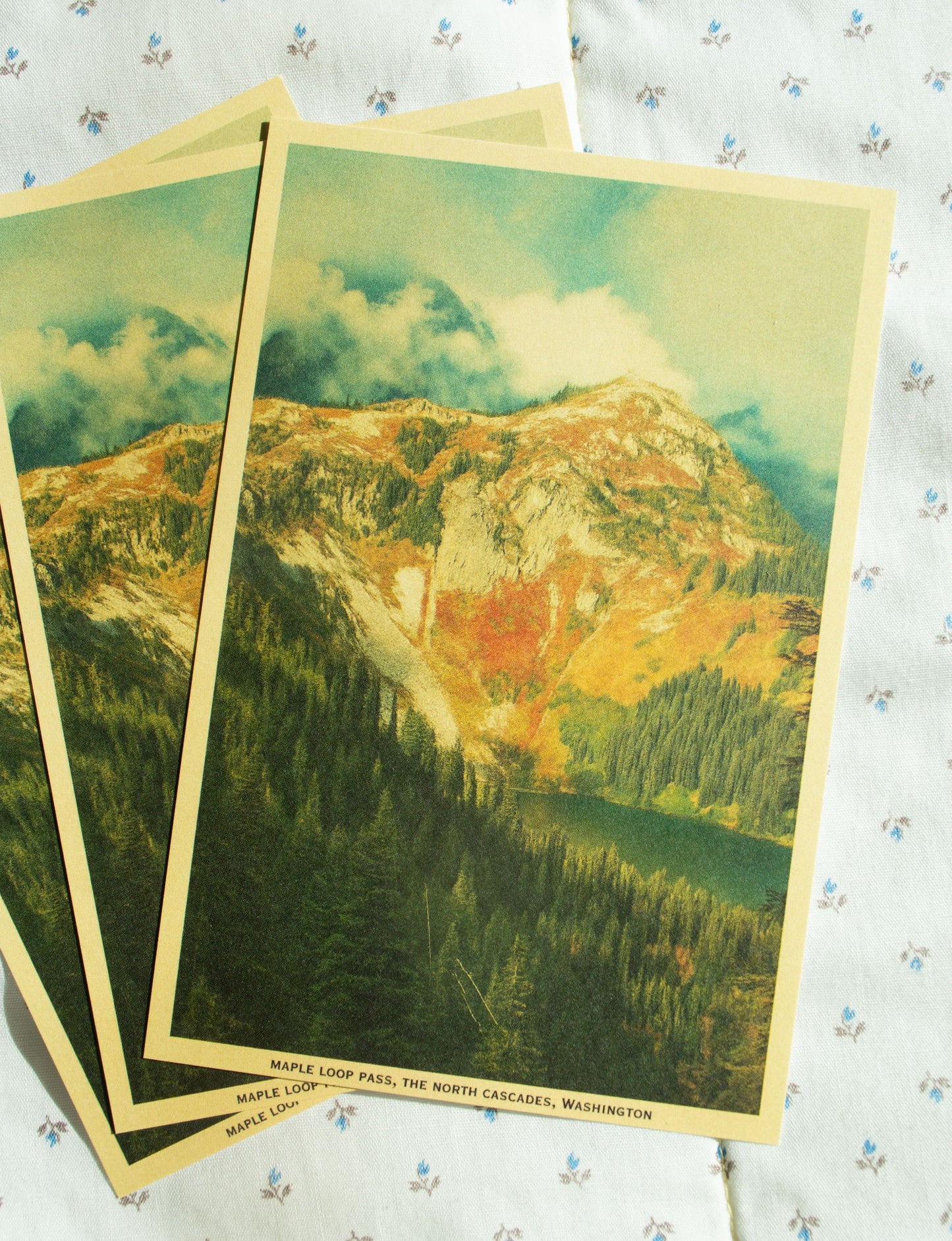 Vintage Inspired Film 4x6 Postcards