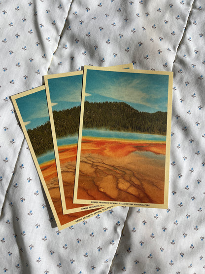 Vintage Inspired Film 4x6 Postcards