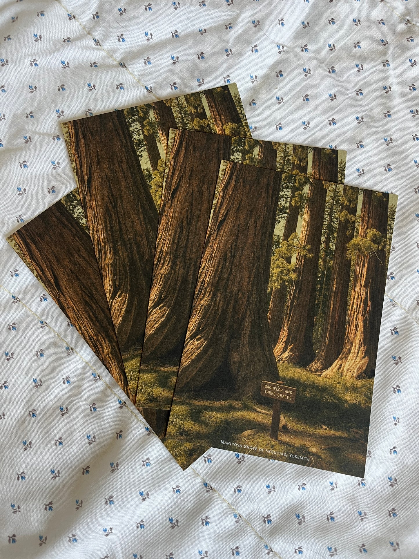 Vintage Inspired 4x6 Postcards