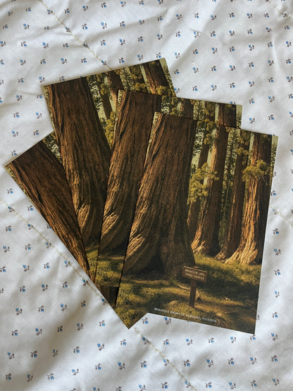 Vintage Inspired 4x6 Postcards