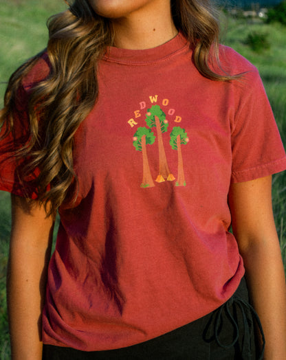 Redwood National Park Adult & Youth T-Shirt