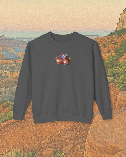 Petrified Forest National Park Printed Sweatshirt