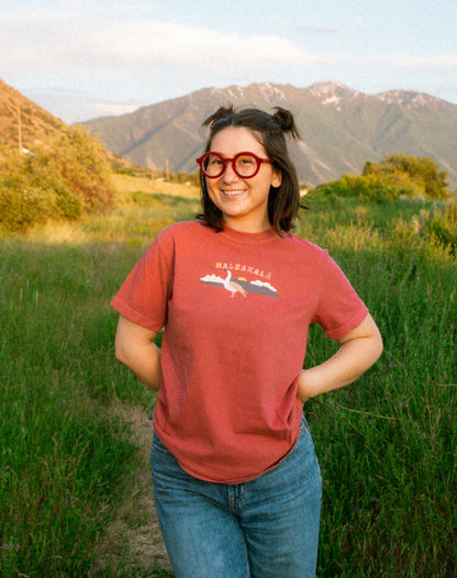Haleakalā National Park T-Shirt