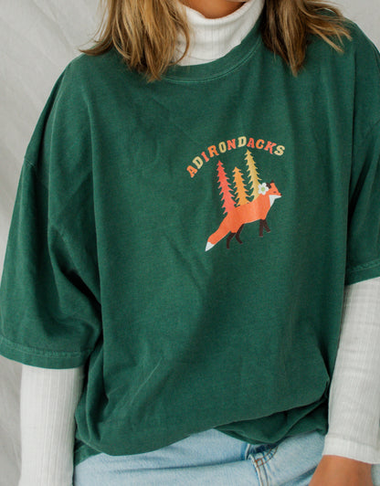 Adirondack Mountains T-Shirt