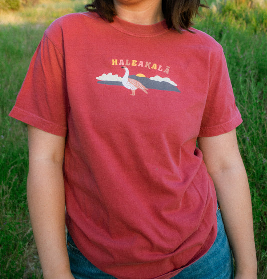 Haleakalā National Park T-Shirt