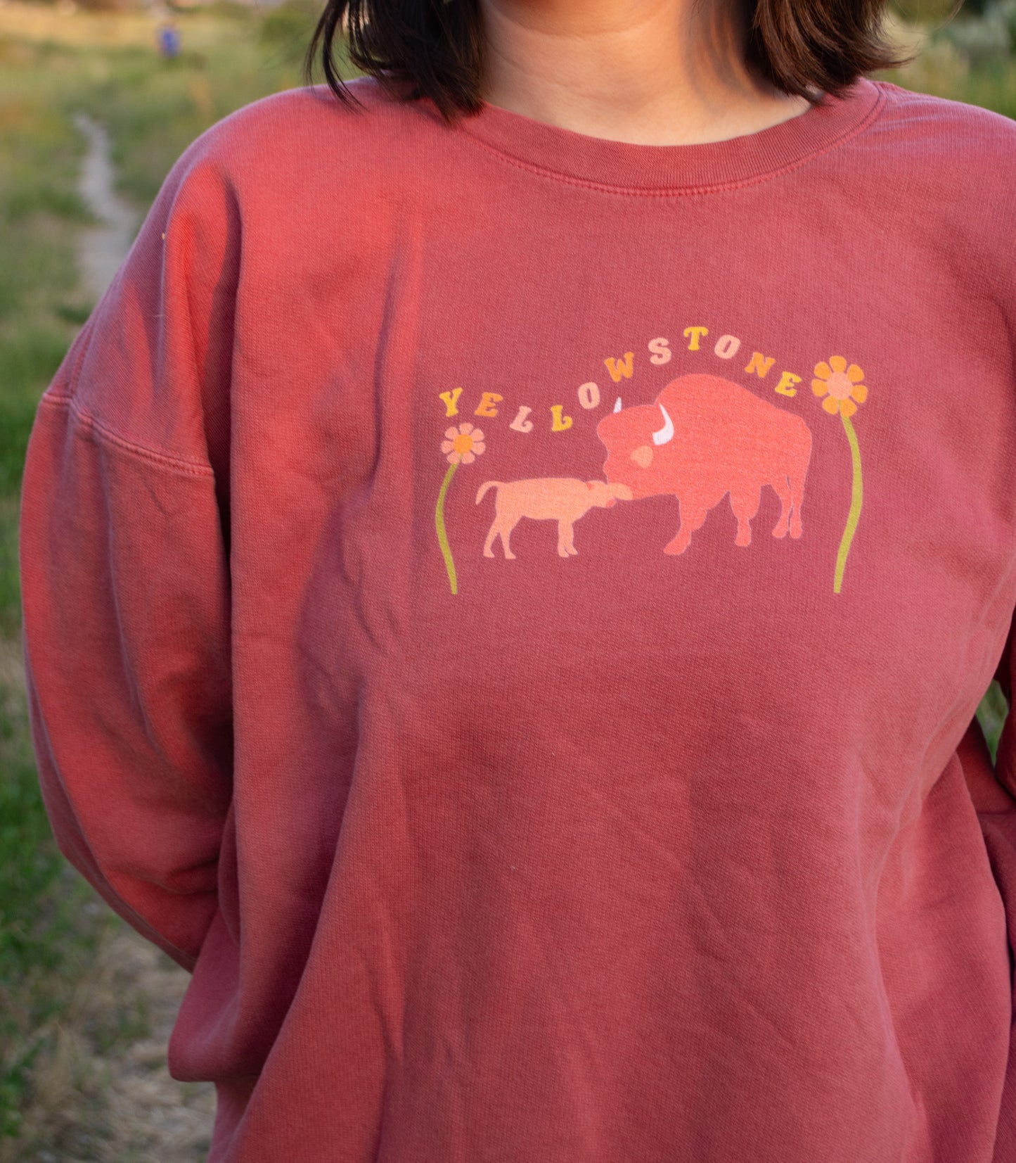 Yellowstone National Park Printed Sweatshirt