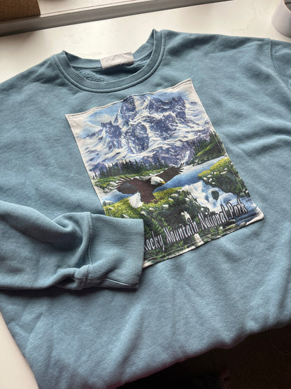 Rocky Mountain Upcycle Size XL