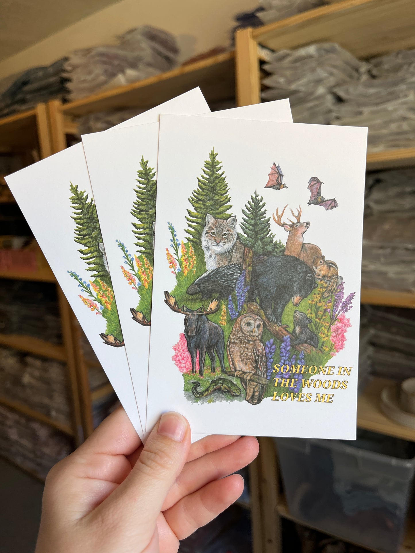 Vintage Inspired 4x6 Postcards