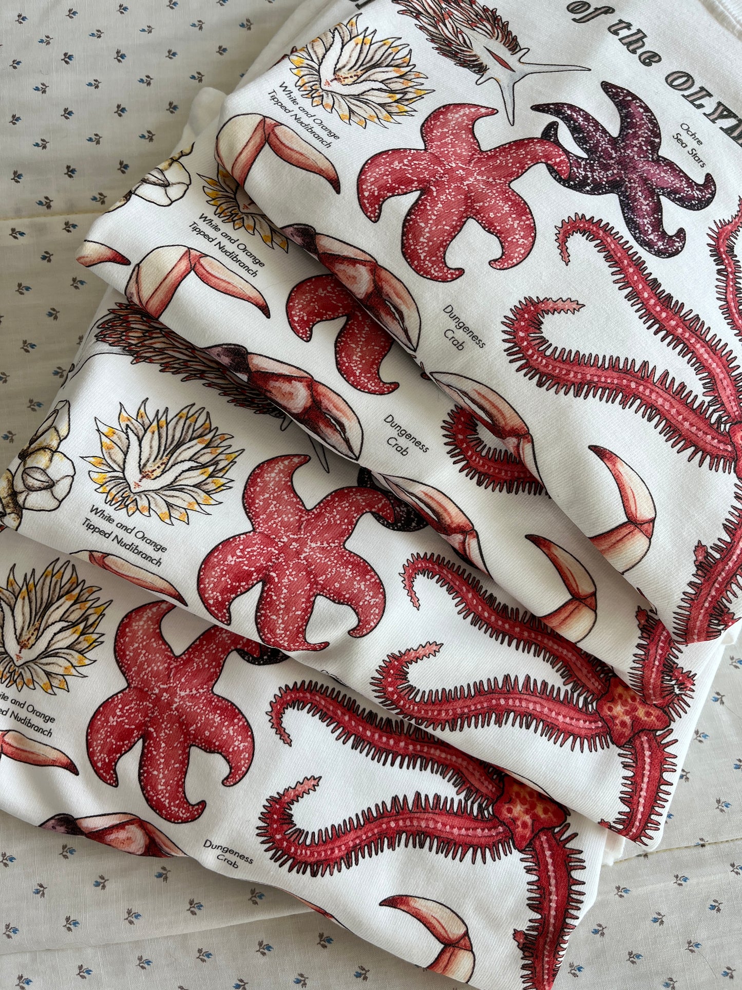 Olympic Tide Pools T-Shirt