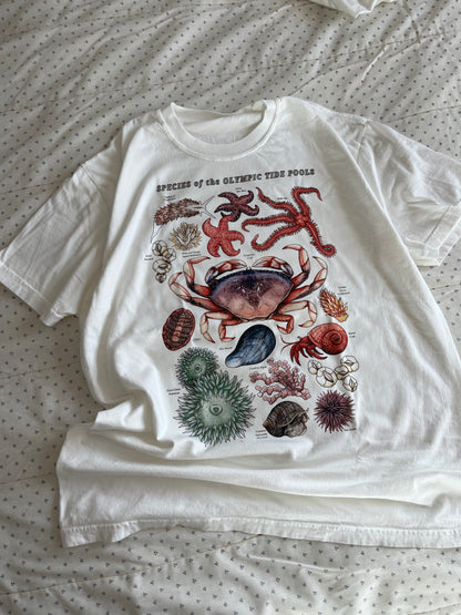 Olympic Tide Pools T-Shirt