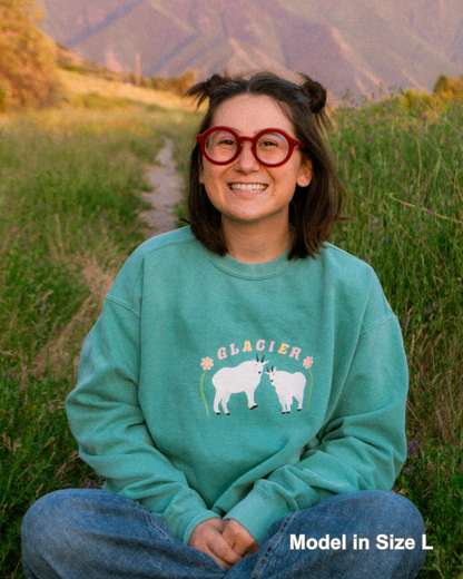 Great Smoky Mountains National Park Waterfall Printed Sweatshirt