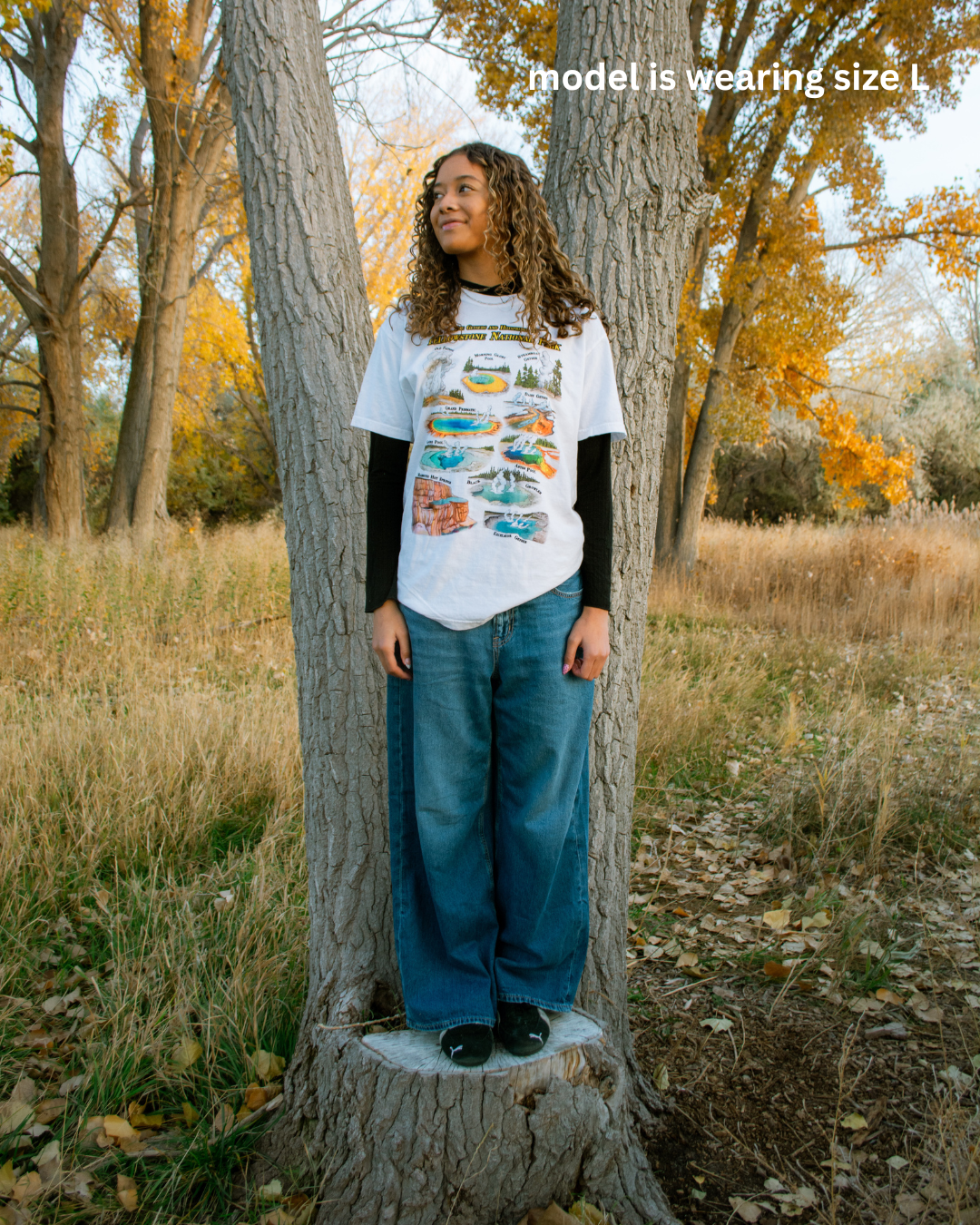 Yellowstone Geysers T-Shirt